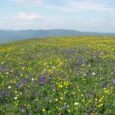 Belvilla By Oyo Lupo Holiday home